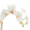 Plum & Post Phalaenopsis Orchid Faux (Fake) Drop-In 26" - 4 of 4