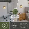 VAXCEL 1-Light 8 in. Wide Indoor-Outdoor Rustic Flush Mount Wall Sconce with Glass Shade - 4 of 4
