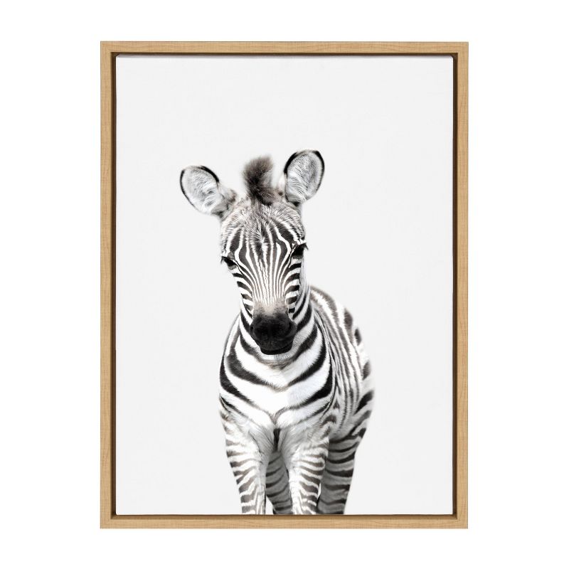 Sylvie Baby Zebra Framed Canvas by Amy Peterson - Kate and Laurel, 1 of 6