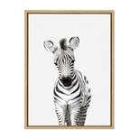 18" x 24" Sylvie Baby Zebra Framed Canvas by Amy Peterson Natural - Kate & Laurel All Things Decor