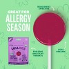 The Eez Co. Lolleez Organic Throat Soothing Pops - Mixed Berry/Elderberry - 15ct - 3 of 4