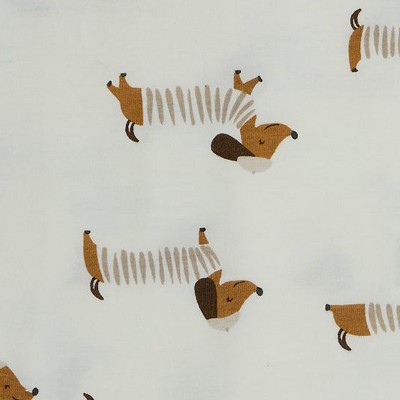 cute dogs