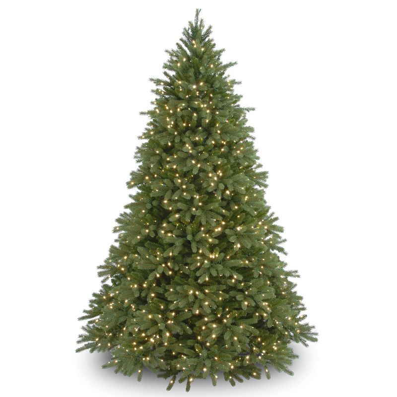 National Tree Company 9 ft. Jersey Fraser Fir Tree with Clear Lights, 1 of 8