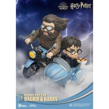 Warner Bros Harry Potter-Hagrid and Harry CB (D-Stage)