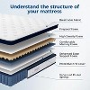 ELJGET Queen/King Mattress, 12 Inch Mixed Memory Foam Mattress in a Box, Zoned Pressure Relief, Medium Firm Feel, Motion Isolation, Deep Sleep - 4 of 4