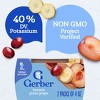 Gerber  Baby Food Stage 2 Banana Plum Grape Puree Tub - 4oz/2ct - 4 of 4