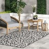 Nuloom Terenia Leopard Indoor/Outdoor Patio Area Rug - image 2 of 4