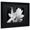 Trademark Fine Art - Kurt Shaffer 'Tuber Rose in Black and White' Matted Framed Art - 2 of 3