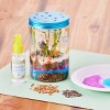  Creativity for Kids Tropical Terrarium Craft Kit - Kids Terrarium  Kit for Ages 7+, STEAM Activity : Toys & Games