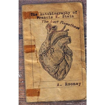 The Autobiography of Francis N. Stein - by  A Rooney (Paperback)