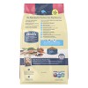 Blue Buffalo Salmon Flavor Dry Dog Food - 15lbs - 2 of 4
