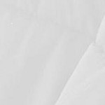 white & white