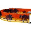 Country Brook Petz Caribbean Sunset Martingale Dog Collar - image 4 of 4