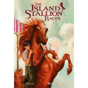 The Island Stallion Races - (Black Stallion) by  Walter Farley (Paperback)