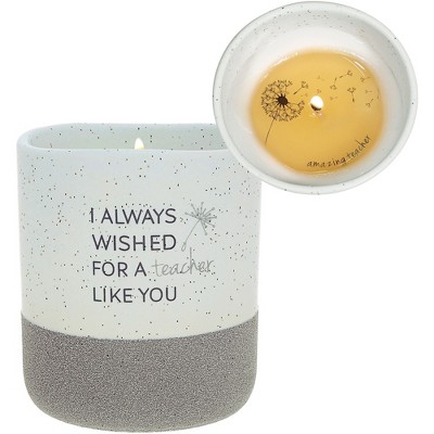 Pavilion Gift Company - Teacher Like You - 10 oz - 100% Soy Wax Reveal Candle Scent: Tranquility - Flame Candles