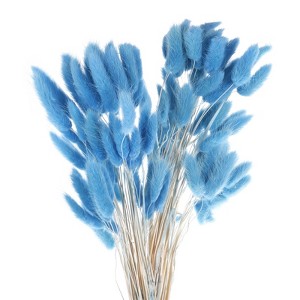 Unique Bargains Decorative Natural Dried Floral Bunny Tail Artificial Plants 120 Pcs - 1 of 4