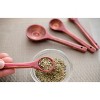 Island Bamboo 4 Piece Pakkawood Measuring Spoon Set, Red - 3 of 3