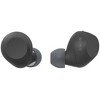 Sony Truly Wireless Noise Canceling Earbuds w/ Converter Adapter and Cloth - 2 of 4