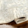 Hauteloom Iduia Beige Plush Area Rug - 4 of 4