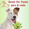 Angel Sar Squeaky Weed Nugget Dog Toy, Funny 420 Plush Stuffed Pot Leaf Toy with Squeaker, Novelty Gift for Puppies & Dogs of All Sizes - 4 of 4