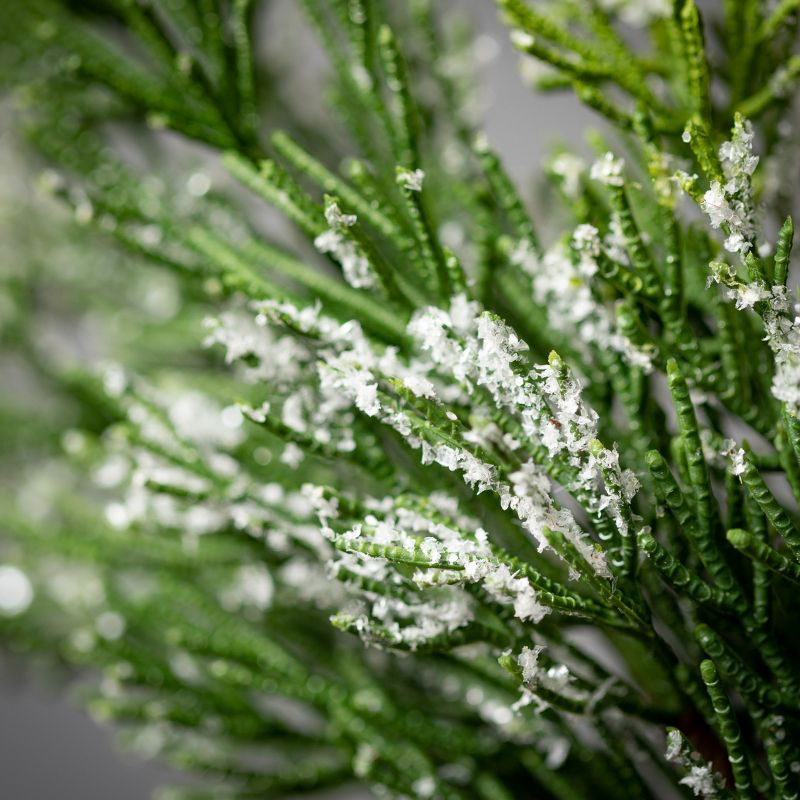 23"H Sullivans Frosted Green Cedar Wreath, Green Winter Wreaths For Front Door, 2 of 4