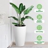 Round Planter Set of 2, Self Watering Pots for Indoor Plants, Large Flower Pot Outdoor with Built-in Drainage and a Water Level Monitor - 3 of 4