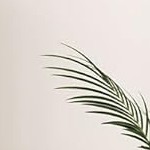 5-tier black frame + black panel