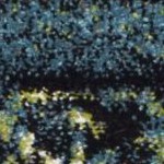blue/multi