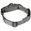 Country Brook Petz Heavy Duty Nylon Martingale Dog Collar with Deluxe Buckle - 30+ Vibrant Color Options - 4 of 4