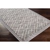 Hauteloom Ballybunnion Area Rug - 4 of 4