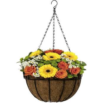 Sorbus Hanging Planter Baskets W/Coco Liner (4-Pack)
