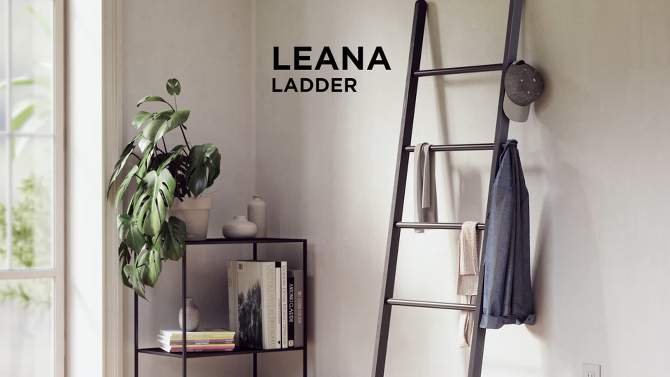Leana Decorative Ladder - Umbra, 2 of 18, play video