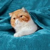 Cozy Comfort by Bedsure | Flannel Blanket Solid 260GSM Soft Fuzzy Plush Bed Blanket - 3 of 4