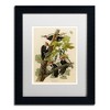 Trademark Fine Art -John James Audubon 'Pileated Woodpeckers' Matted Framed Art - 2 of 4