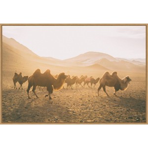33" x 23" Camels on The Move by Aledanda: Desert Scene Wall Decor - Amanti Art - 1 of 4