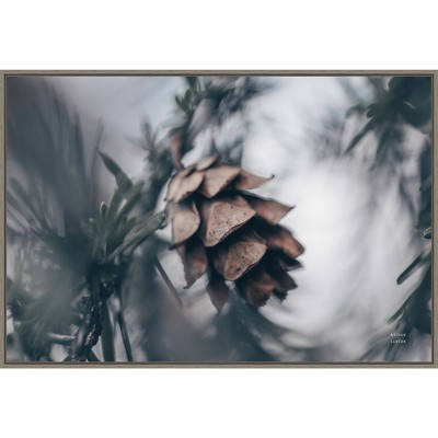 Nathan Larson Pinecone Macro Canvas Print in Gray Frame