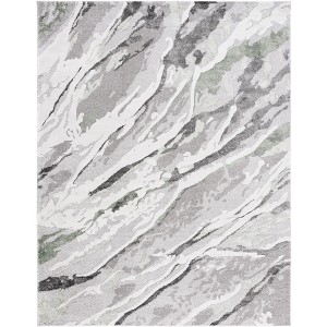 Century CTY324 Power Loomed Indoor Rugs - Safavieh - 1 of 4