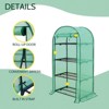 EAGLE PEAK 4 Tier Greenhouse, 31.5"x17.7"x63.0", Green PE Cover - 3 of 4