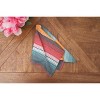 C&F Home Colorful Serape Napkin Set of 6 - 3 of 4