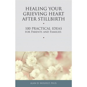 Healing Your Grieving Heart After Stillbirth - by  Alan D Wolfelt (Paperback) - 1 of 1