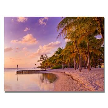 Trademark Fine Art -Preston 'Cayman Beach Full' Canvas Art