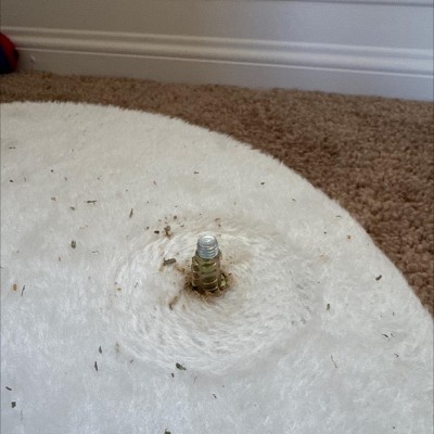 Guest review image 1 of 3, zoom in