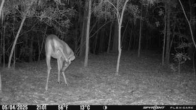 Guest review image 2 of 5, zoom in