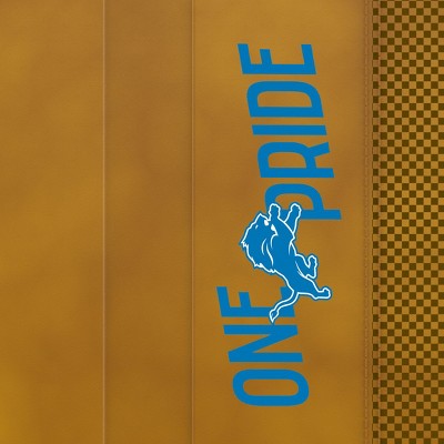 detroit lions
