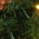 30cm 20 battery box light 2 pine cones 2 bunches of red fruit 1 tree top star