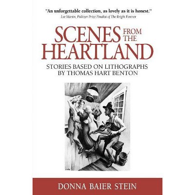 Scenes from the Heartland - by  Donna Baier Stein (Paperback)