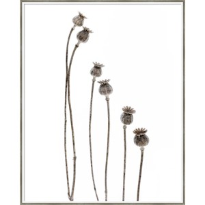 33" x 41" Last Years Flowering Poppies by Lotte Gronkjar Wood Framed Wall Art Print - Amanti Art: Vertical Botanical Decor - 1 of 4