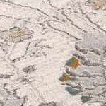 light gray, dark brown, gray, medium gray