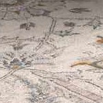 light gray, dark brown, gray, medium gray