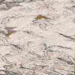 light gray, dark brown, gray, medium gray